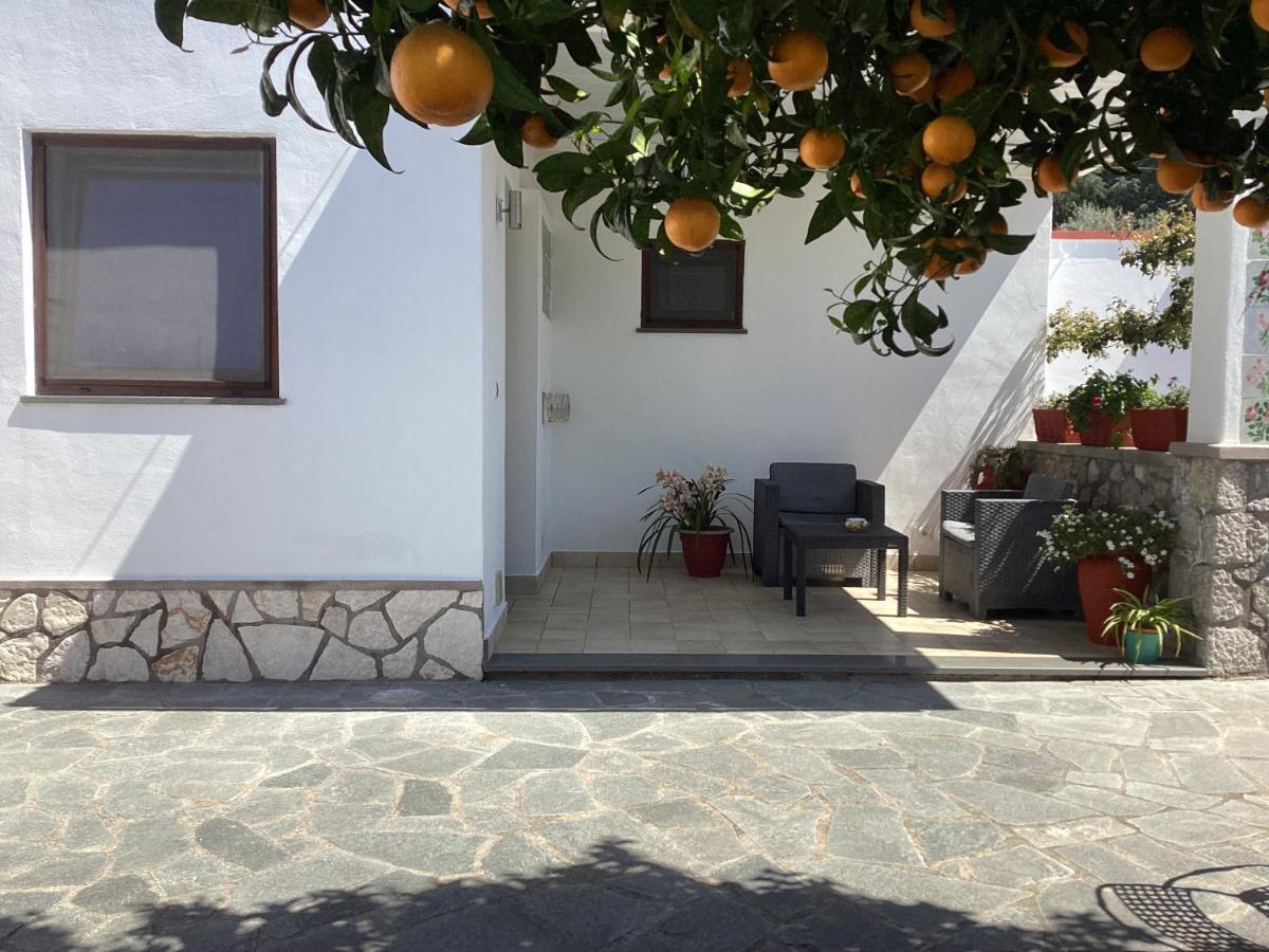 אנה קאפרי B&B Casetta Minghitto מראה חיצוני תמונה