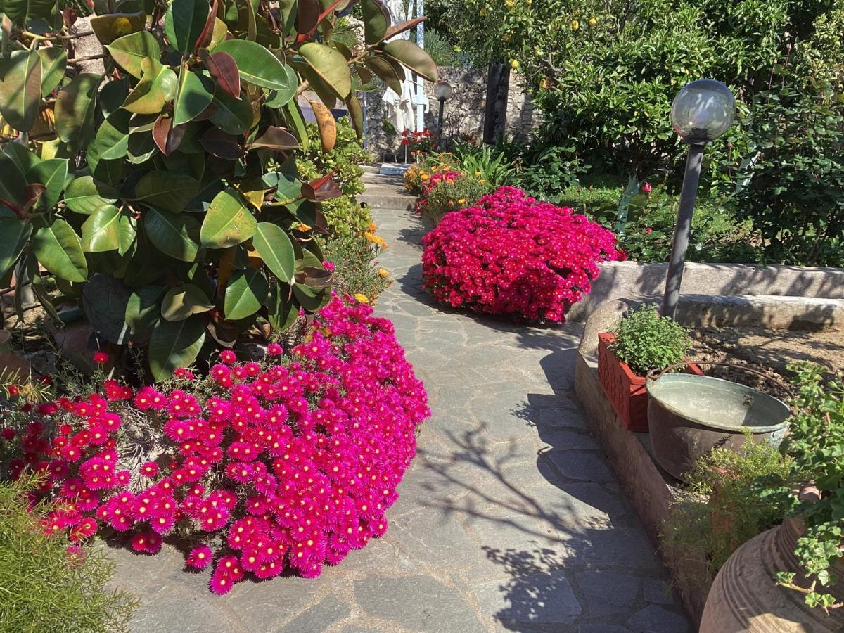 אנה קאפרי B&B Casetta Minghitto מראה חיצוני תמונה