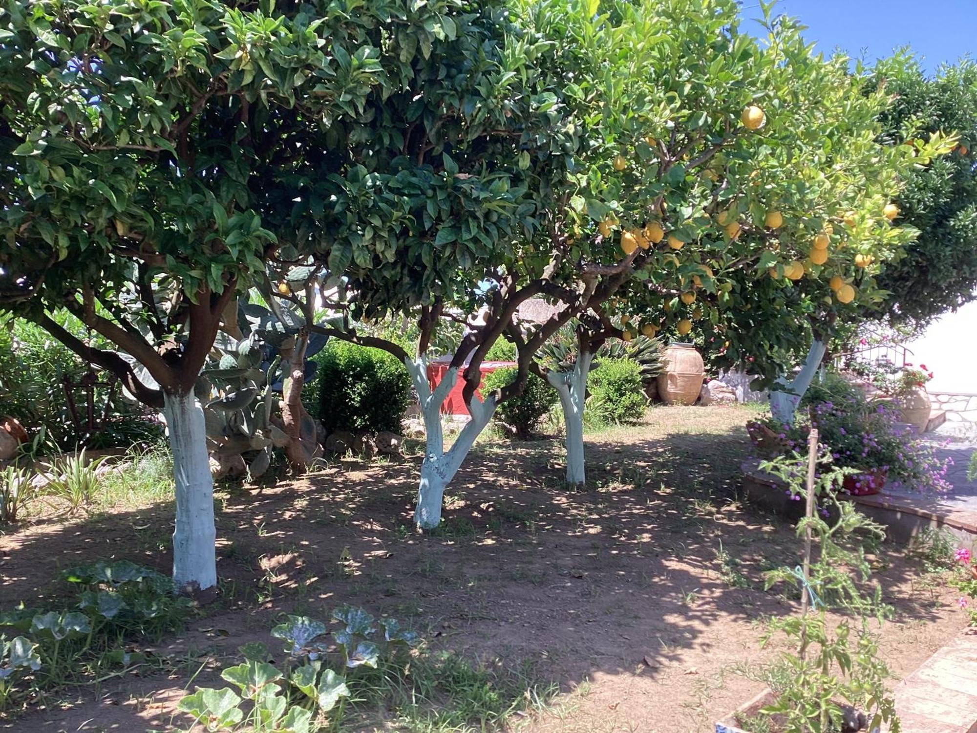 אנה קאפרי B&B Casetta Minghitto מראה חיצוני תמונה
