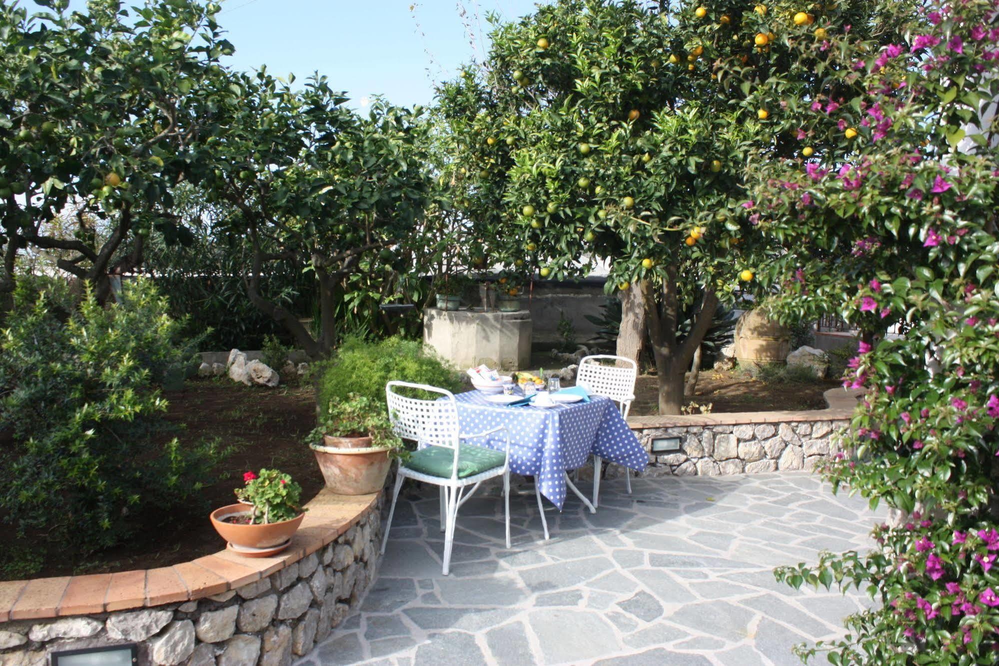 אנה קאפרי B&B Casetta Minghitto מראה חיצוני תמונה